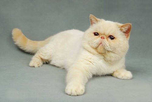 VUY0DB059NXA3E35WMZ}8G5.png VUY0DB059NXA3E35WMZ}8G5.png