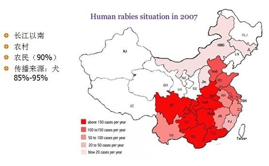 图4：中国人狂犬病分布情况