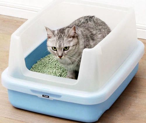 你的猫砂盆放对地方了吗