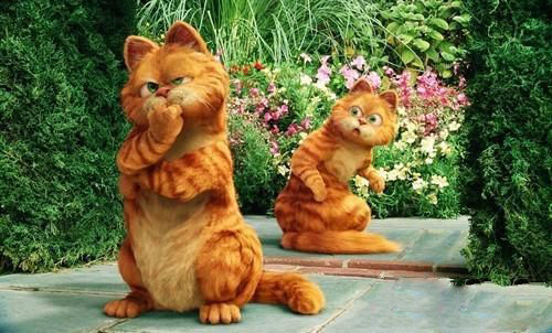 从《加菲猫》看猫咪不喜欢的食物